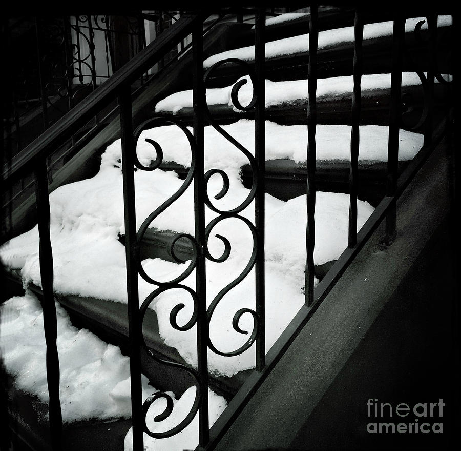 Snow a la Mode Photograph by Miriam Danar