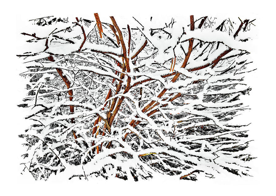 Snow Abstract Photograph by John Christopher