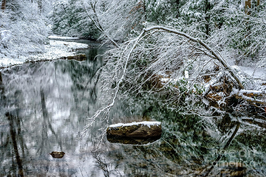Snow along Cranberry River Photograph by Thomas R Fletcher