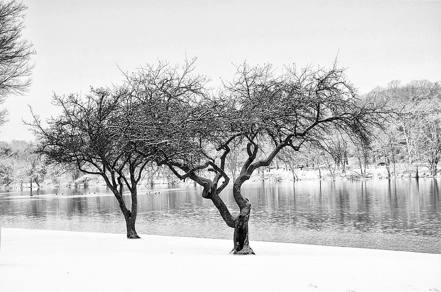 Philadelphia Photograph - Snow Along the Schuylkill River by Bill Cannon