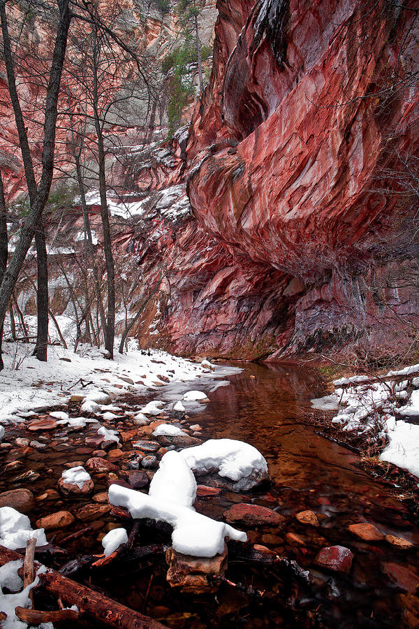 Snow along the Stream Photograph by Rick Strobaugh