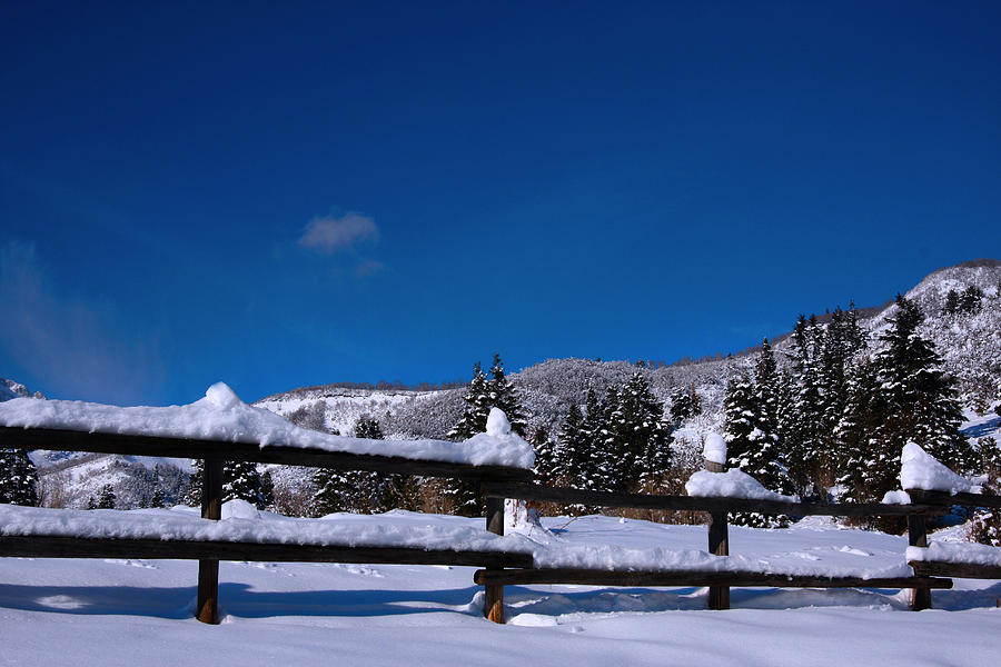 Snow And Blue skys Photograph by Mark Smith