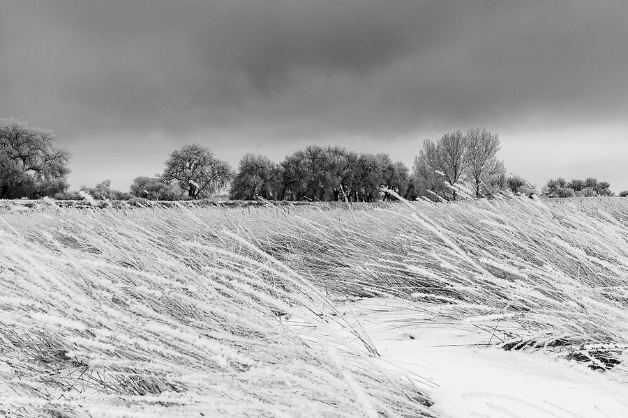 Snow and Frost Covered Plains Photograph by Tony Hake