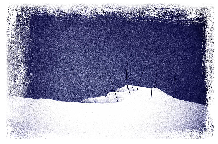 Winter Photograph - Snow and Grass by Mark Wagoner
