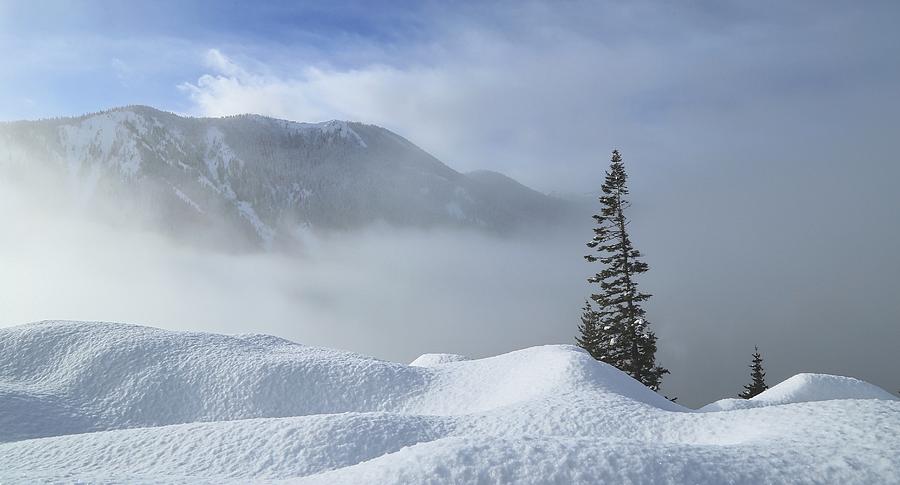Snow and silence Photograph by Lynn Hopwood