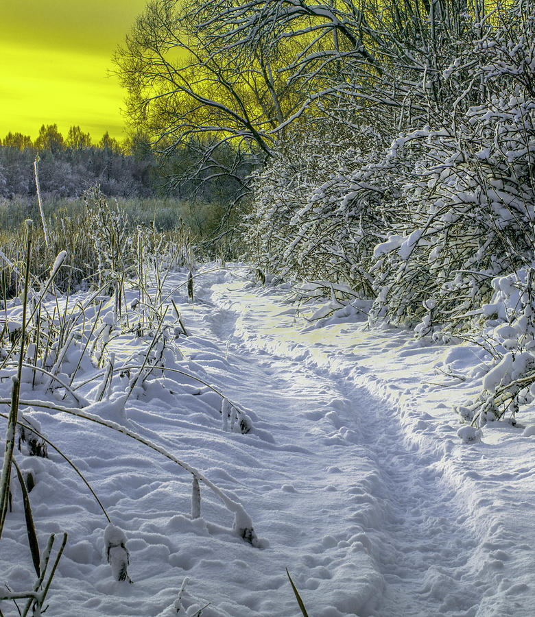 Snow And Sky #f3 Photograph by Leif Sohlman