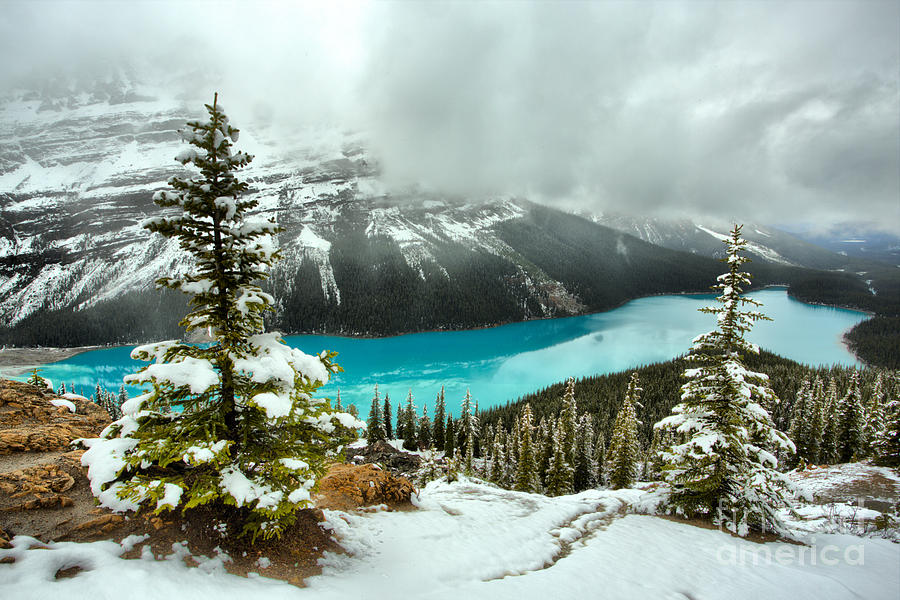 Snow And Storms Over Peyto Photograph by Adam Jewell