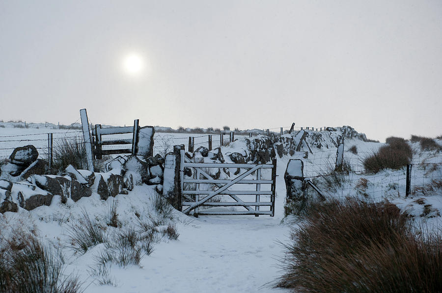 Snow and Sunshine i Photograph by Helen Jackson