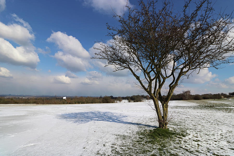 Snow and Sunshine on Epsom Downs Surrey 1 Photograph by Julia Gavin