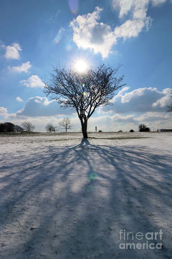 Snow and Sunshine on Epsom Downs Surrey 4 Photograph by Julia Gavin