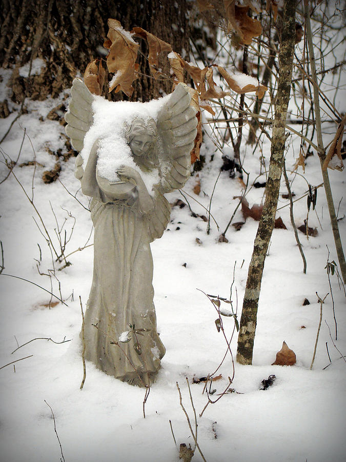Snow Angel Photograph