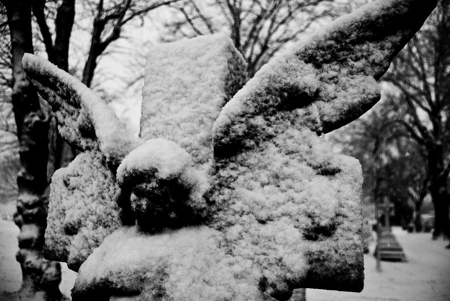 Snow Photograph - Snow Angel by Grebo Gray