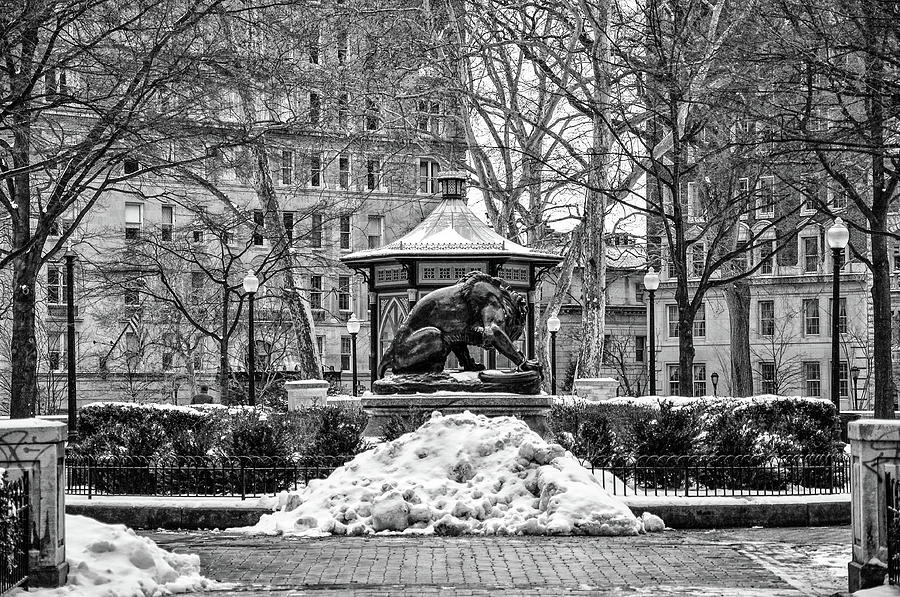 Snow at Rittenhouse Square in Black and White Photograph by Bill Cannon