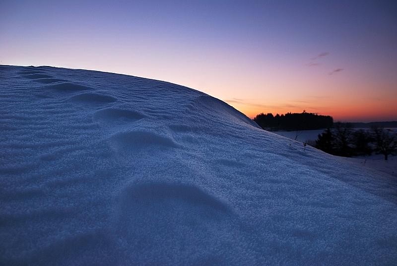 Snow Bank Photograph by Hannes Cmarits