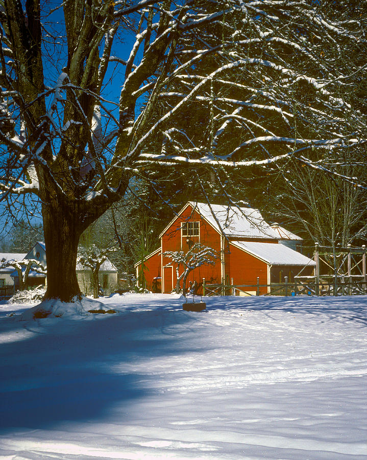 Snow Barn Photograph by Larry Evensen - Fine Art America