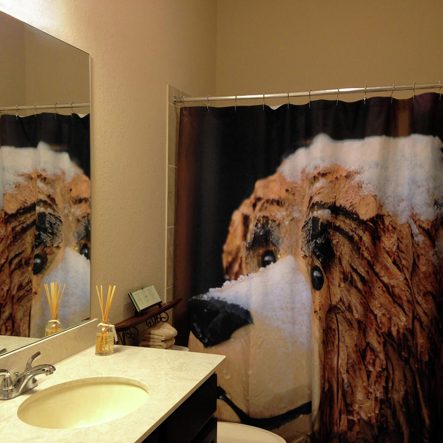 Snow Bear Shower Curtain Reflection Photograph by Connie Fox