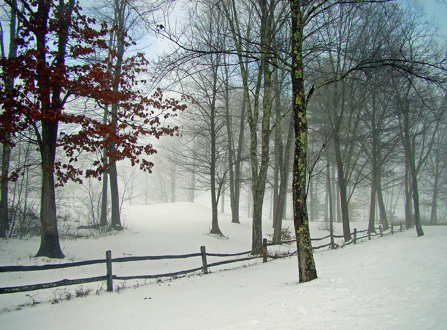 Winter Photograph - Snow Begins by Betsy Zimmerli
