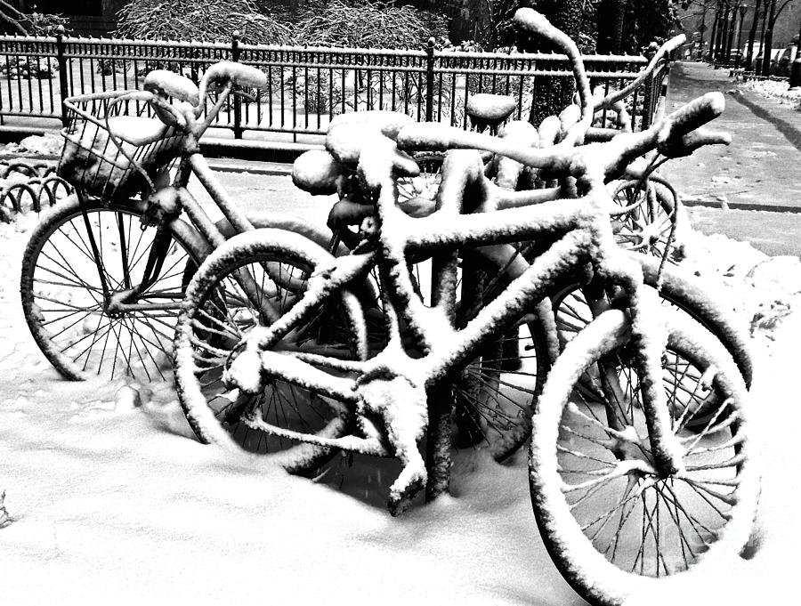 Snow Bicycles Photograph by Debra Banks