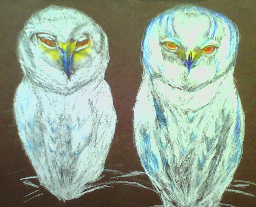 Snow Birds Drawing by Suzanne Berthier