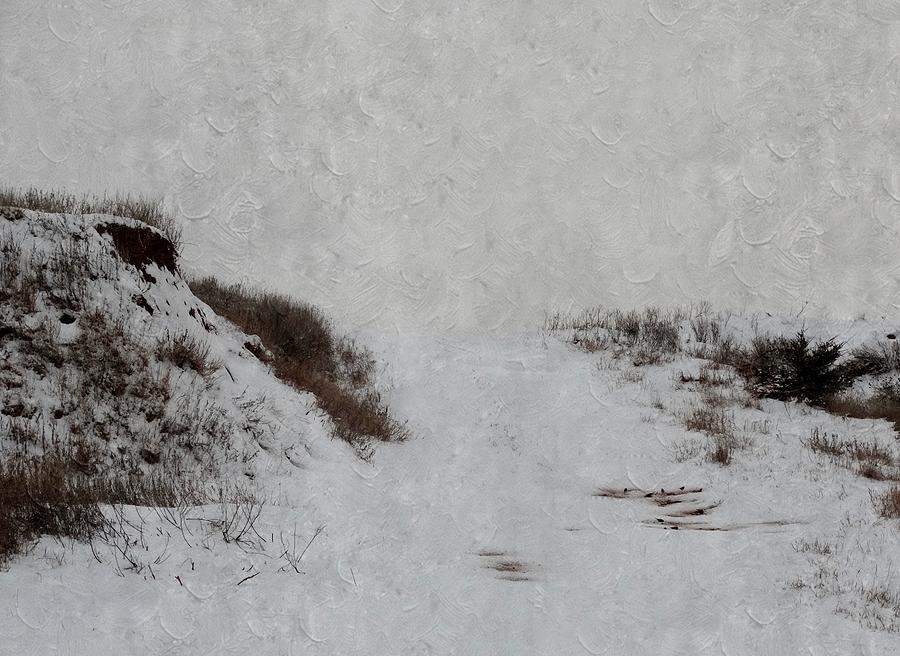 Snow Blind Photograph by Annie Adkins