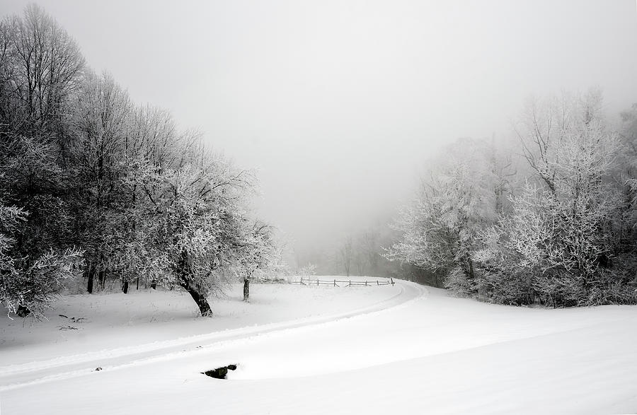 Snow Bound Photograph
