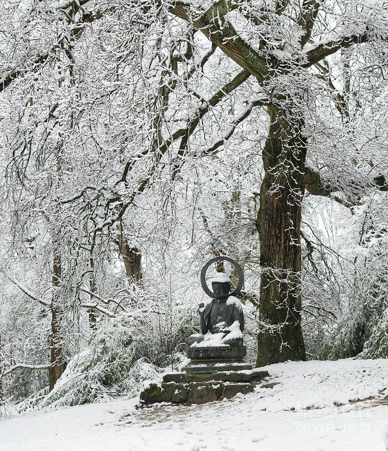 Snow Buddha Photograph by Tim Gainey