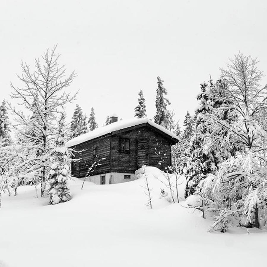 Snow Cabin Photograph by Aleck Cartwright
