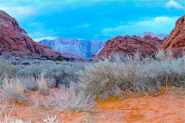 Snow Canyon Photograph by Patricia Haynes