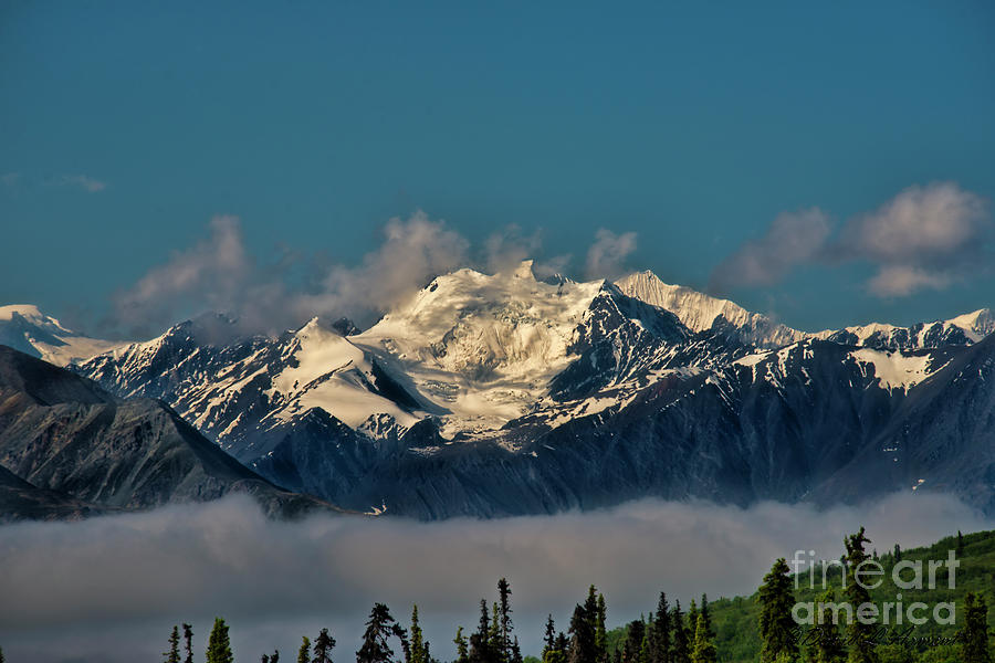 Snow Capped Mountain Alaska Photograph by David Arment