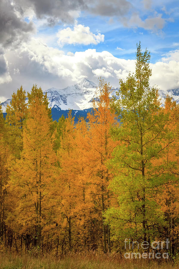 Snow Capped Mountains on a fall day Photograph by Ronda Kimbrow