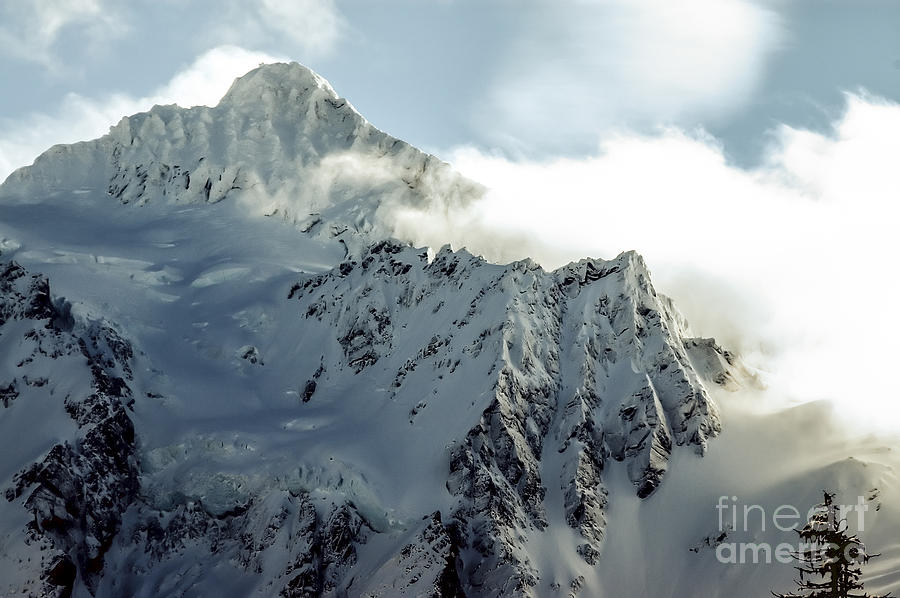 Snow Capped - Mt Shuksan Photograph by Daniel Brunner - Fine Art America