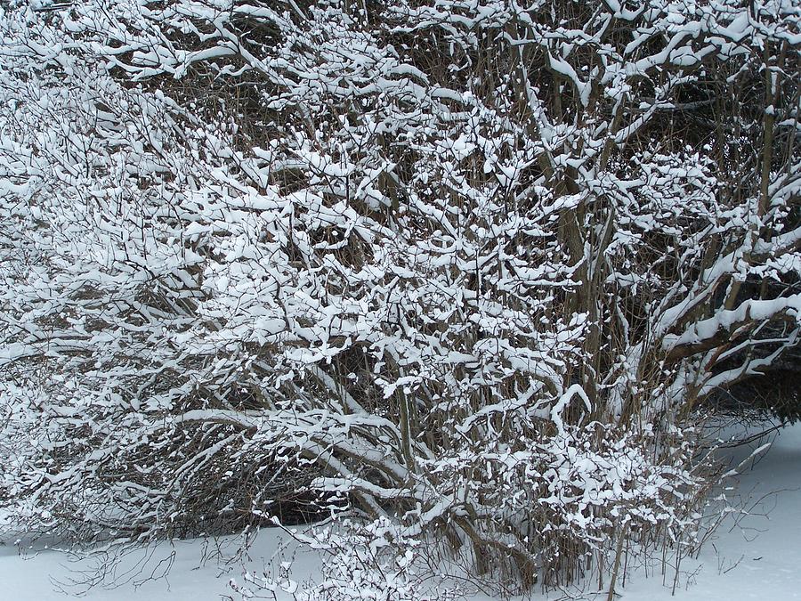 Snow Chains Photograph by Lila Mattison