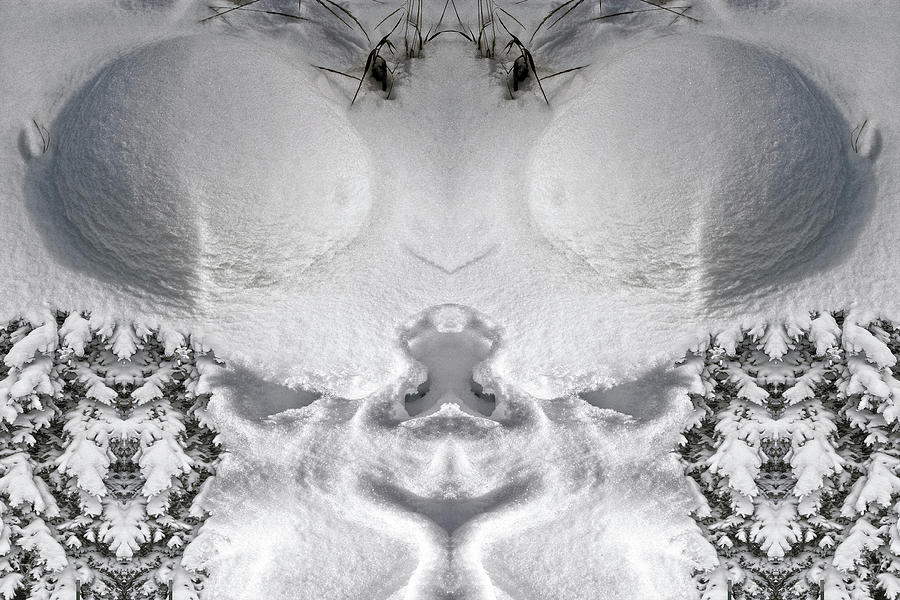 Snow Cheeks Digital Art by Becky Titus