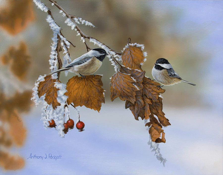 Snow Chickadees Painting by Anthony J Padgett