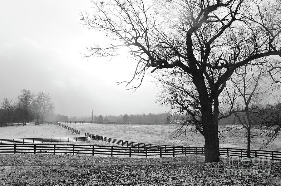 Snow Clouds Rolling In Photograph by Shawn Smith - Fine Art America