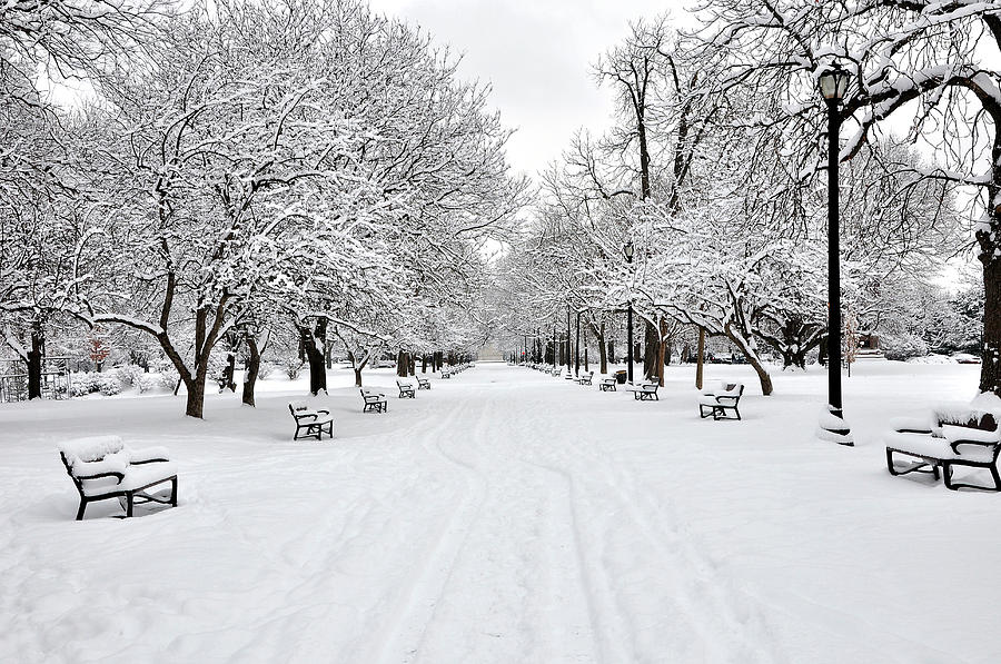 snow-covered-benches-and-trees-in-washington-park-shobeir-ansari.jpg