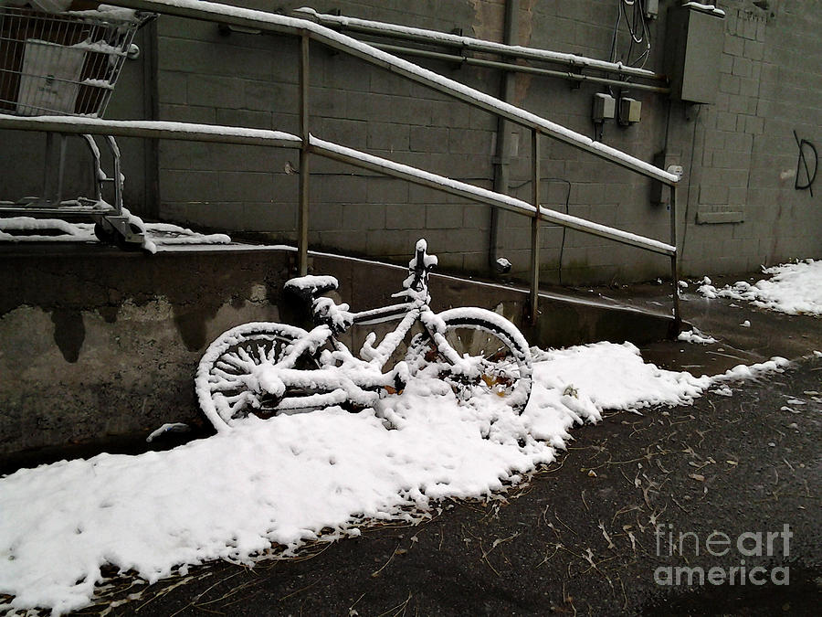 Snow Covered Bike Photograph by Sandra Church