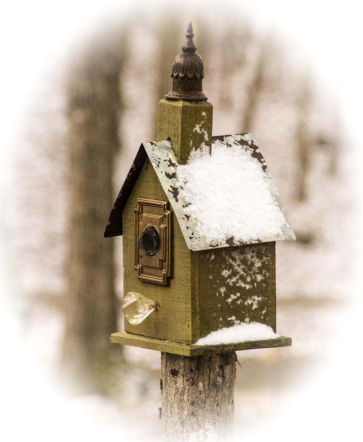 Snow Covered Birdhouse Photograph by Douglas Barnett