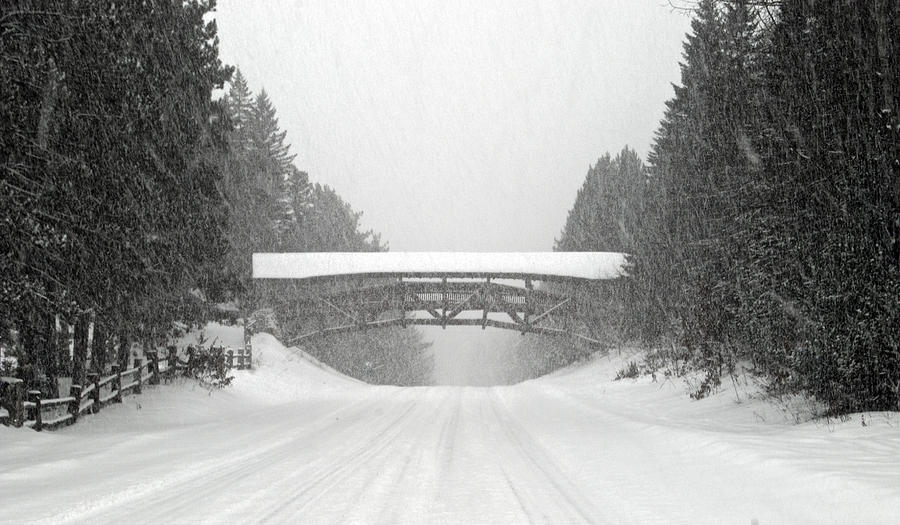 Snow Covered Bridge Photograph by Michael Peychich