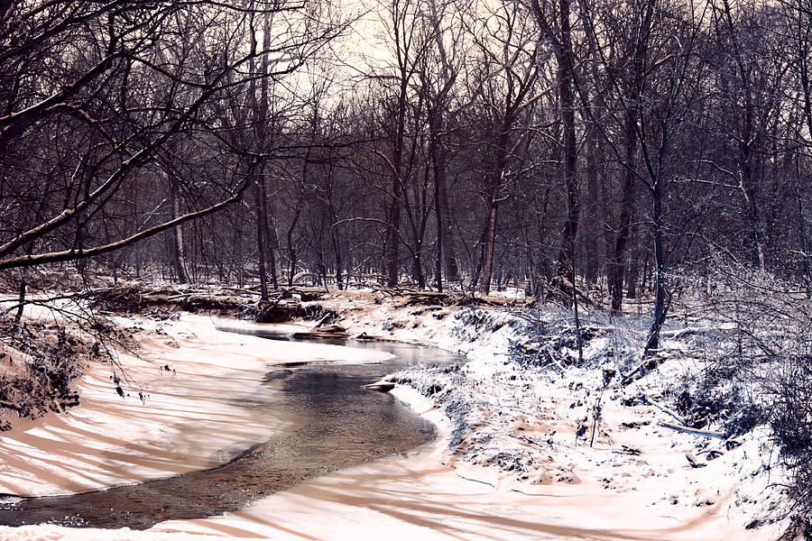 Snow Covered Creek Photograph by Alan Look