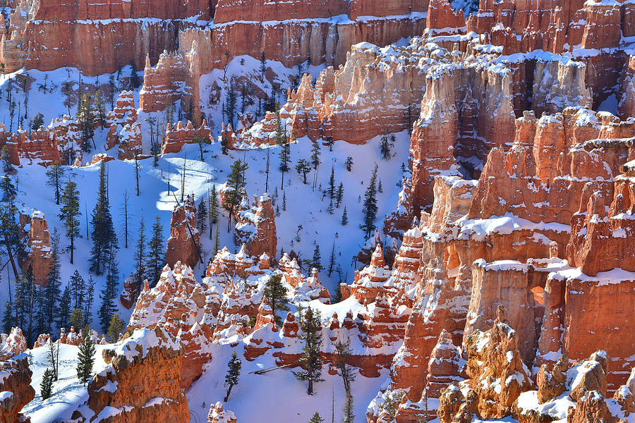 Snow Covered Fairyland Photograph by Ray Mathis