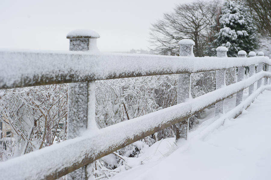 Snow Covered Fence Photograph by Helen Jackson