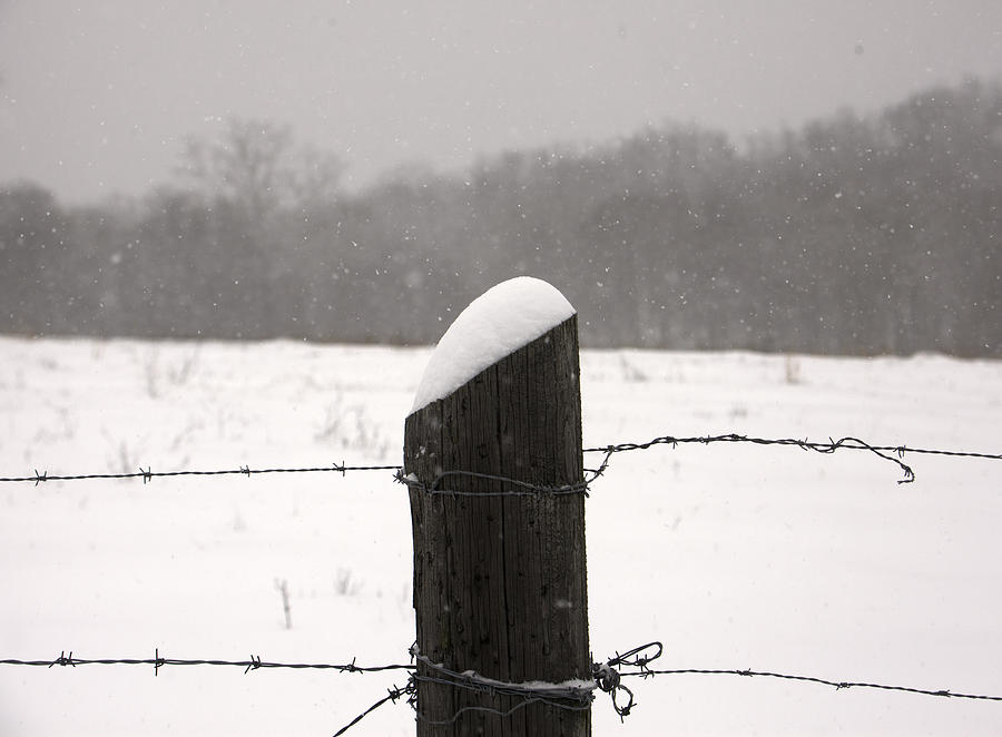 Snow Covered Fence Post Photograph by Scott Sanders - Fine Art America