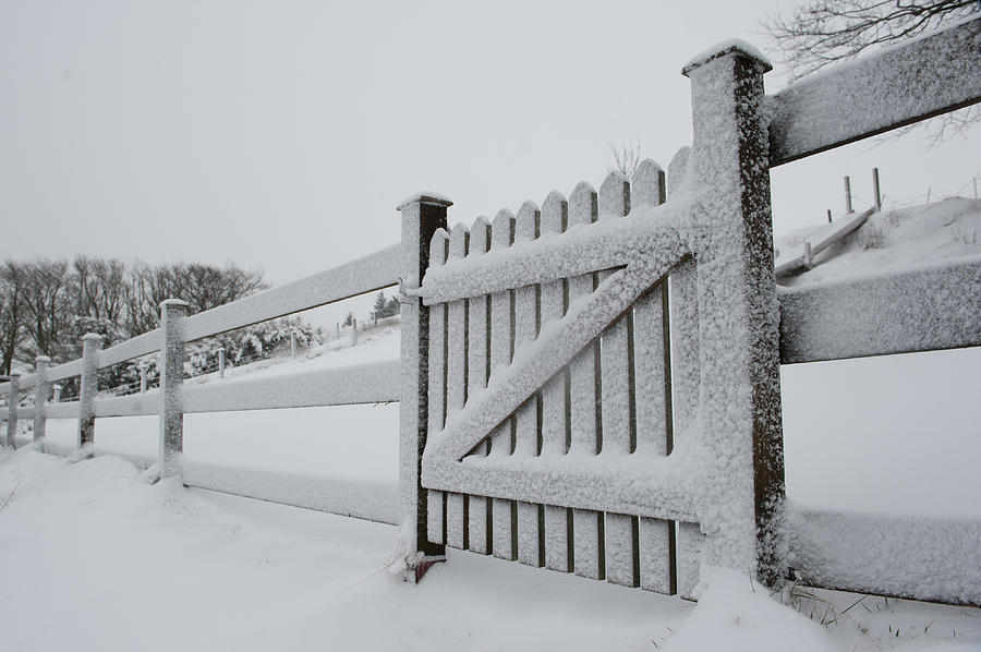 Snow Covered Gate Photograph by Helen Jackson