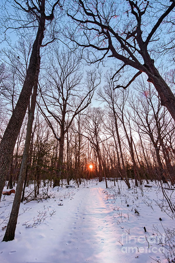 Snow covered hiking trail through a forest towards a setting sun Photograph by Patrick Wolf