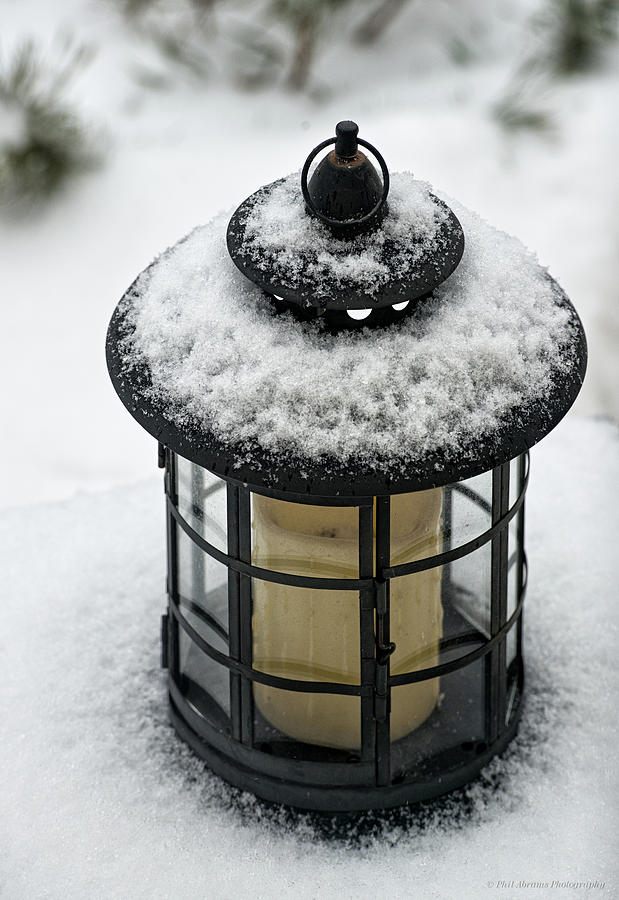 Snow Covered Lamp Photograph by Phil Abrams