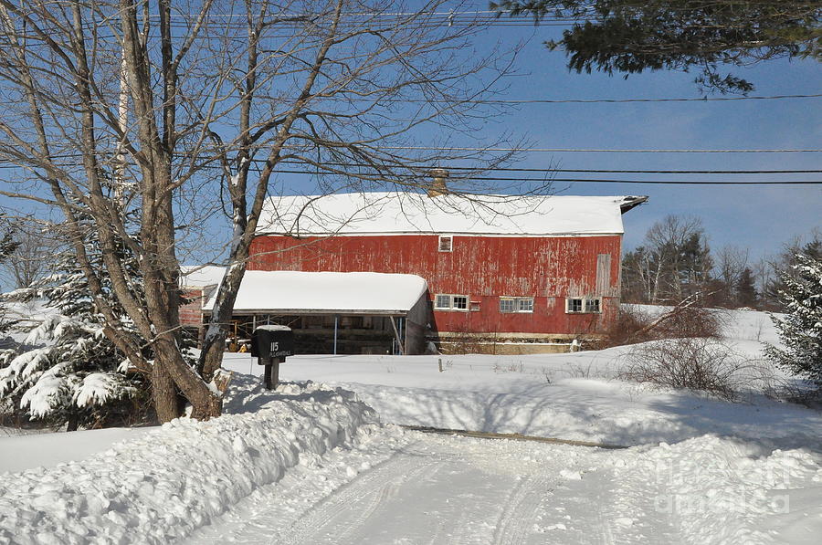 Snow Covered Masachussetts Barn Photograph by John Black