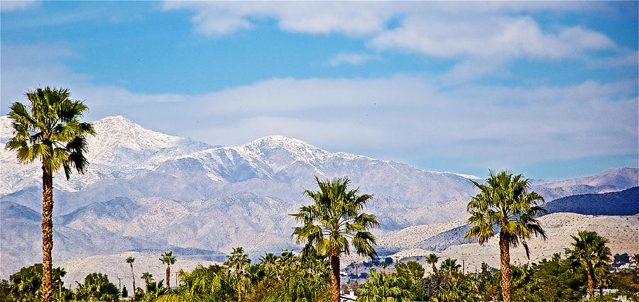 Snow-covered Mountain Peaks and Palm Trees from Desert Hot Springs-California  Photograph by Ruth Hager