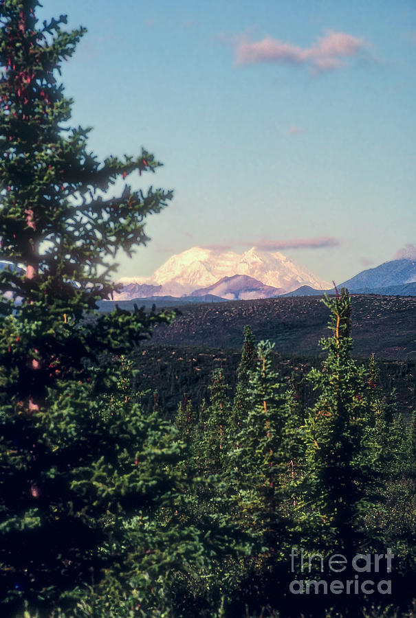Snow Covered Mt. McKinley Photograph by Bob Phillips
