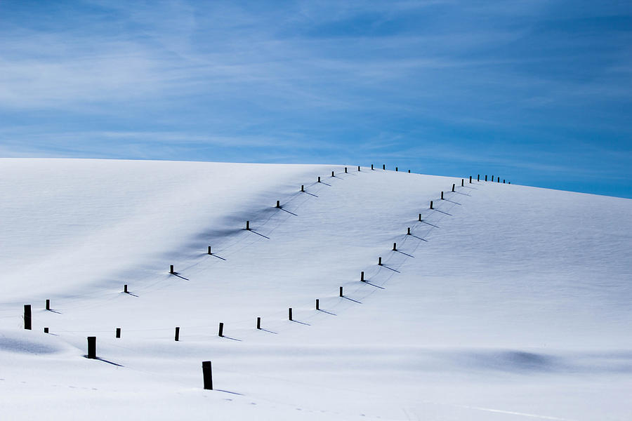 Snow Covered Pasture Photograph by Sean Allen - Fine Art America